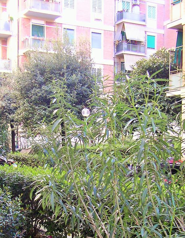 Whatshouse Roma Extérieur photo
